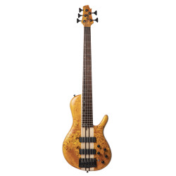 Cort A5 Plus SC AOP w/case