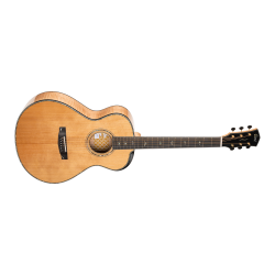 Cort Gold-Passion NAT w/case